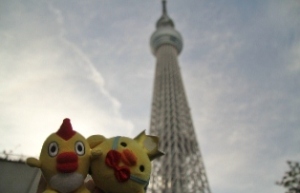 すごいたかいどー　まぶしいだにー